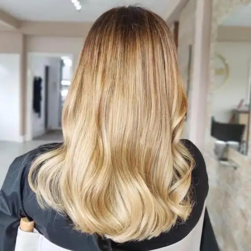 Honey Blonde Formula color combination